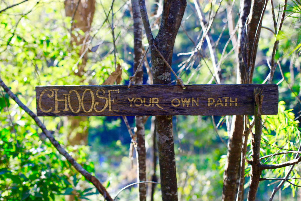 Pay Attention, Modify and Choose You